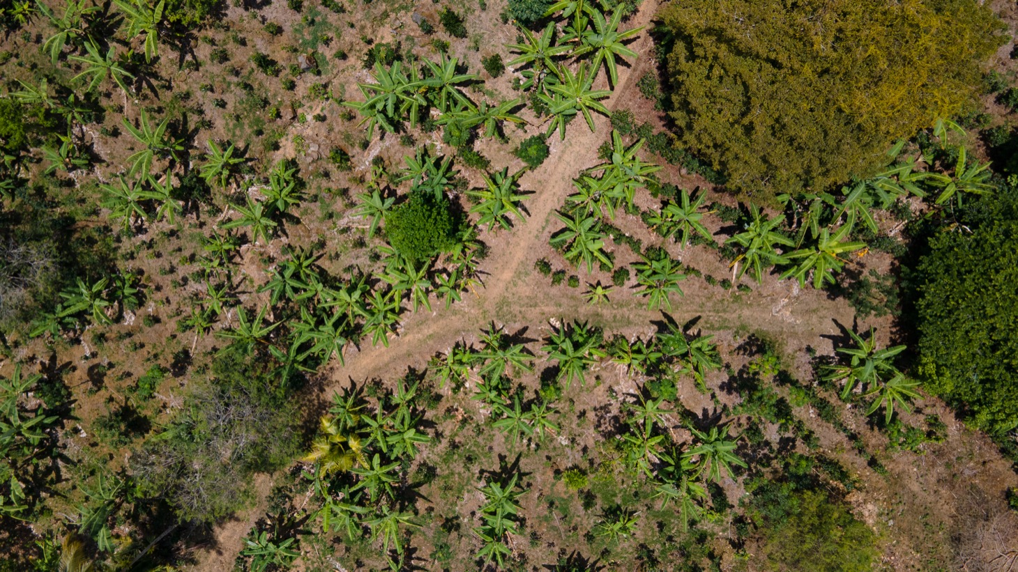 0 bed Land For Sale in Uvita, Puntarenas - thumb 8