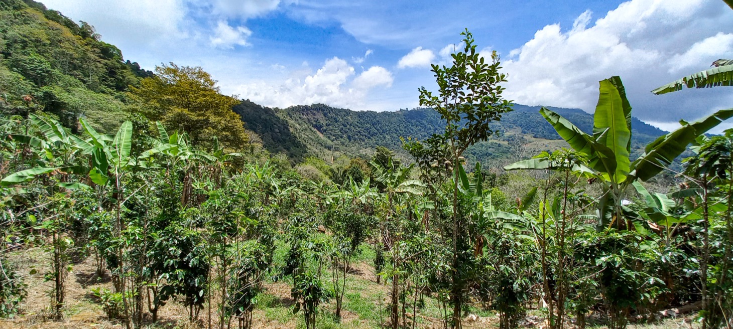 0 bed Land For Sale in Uvita, Puntarenas - thumb 9