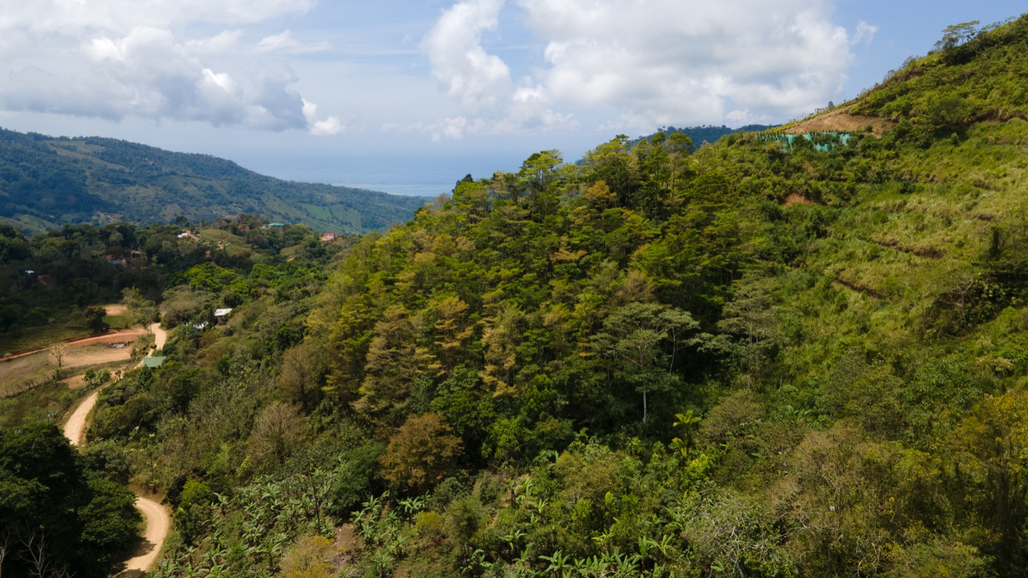 0 bed Land For Sale in Uvita, Puntarenas - thumb 6
