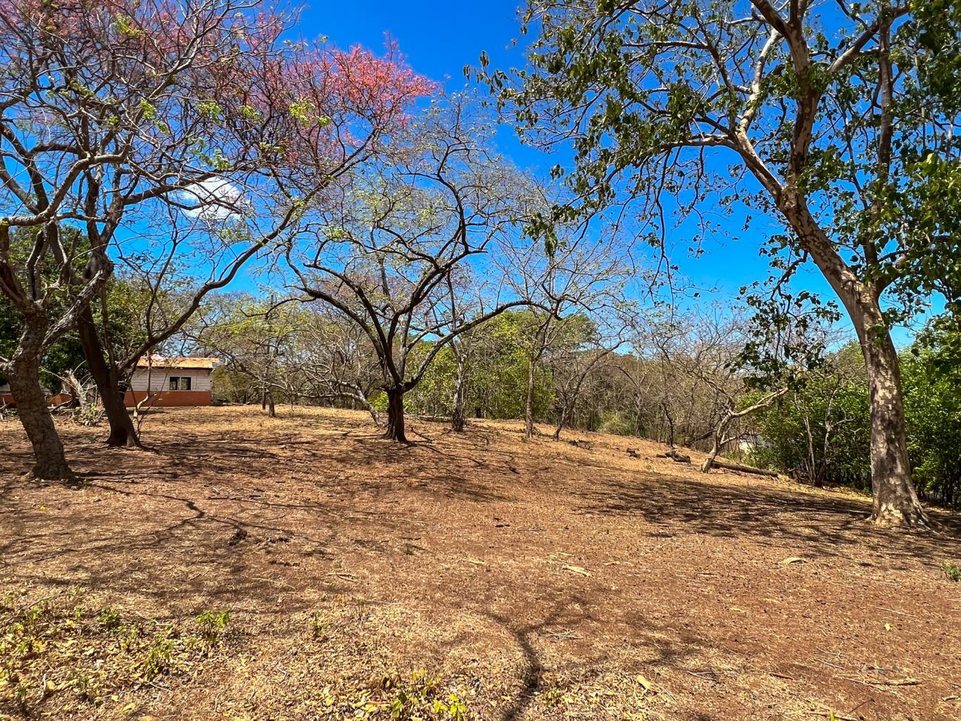 0 bed Land For Sale in Junquillal, Guanacaste - thumb 6