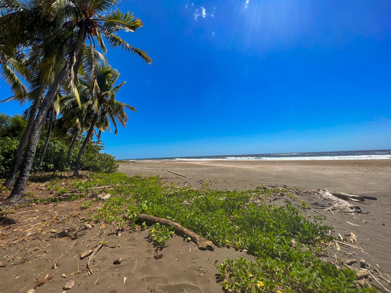 0 bed Land For Sale in Junquillal, Guanacaste - thumb 8