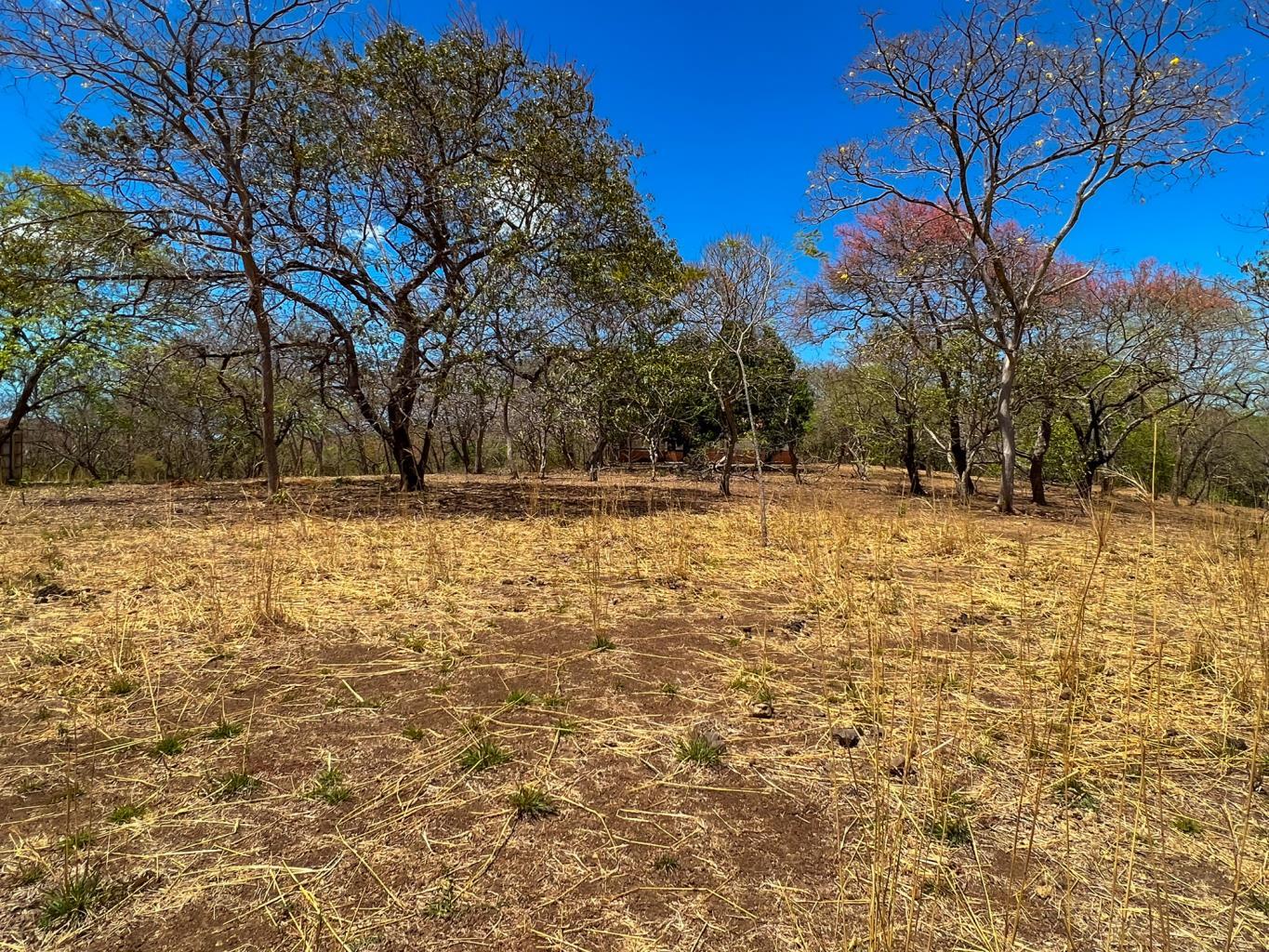 0 bed Land For Sale in Junquillal, Guanacaste - thumb 7