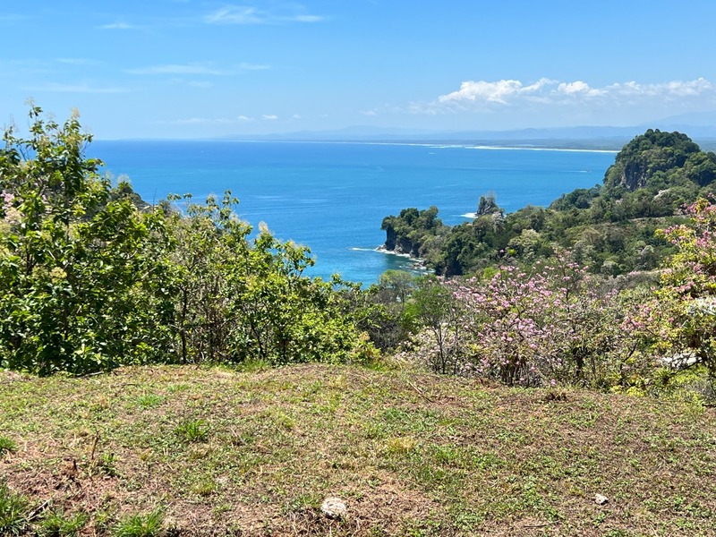 0 bed Land For Sale in Manuel Antonio, Puntarenas - thumb 11