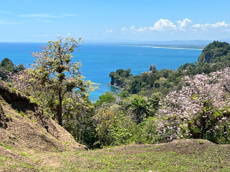 0 bed Land For Sale in Manuel Antonio, Puntarenas - thumb 6