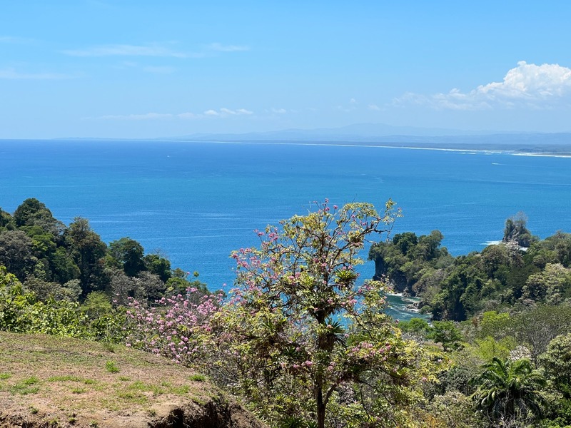 0 bed Land For Sale in Manuel Antonio, Puntarenas - thumb 3