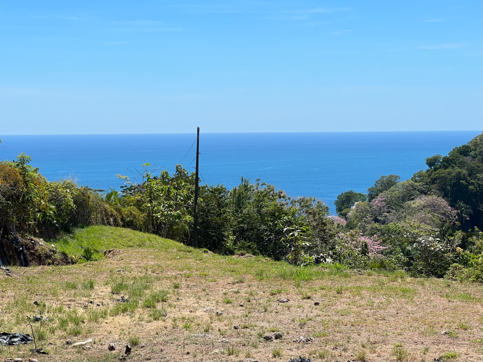 0 bed Land For Sale in Manuel Antonio, Puntarenas - thumb 5