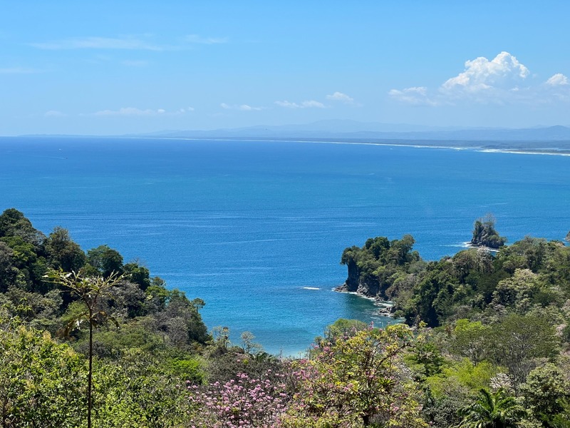 0 bed Land For Sale in Manuel Antonio, Puntarenas - thumb 12