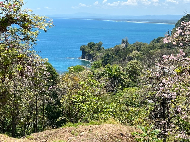 0 bed Land For Sale in Manuel Antonio, Puntarenas - thumb 10