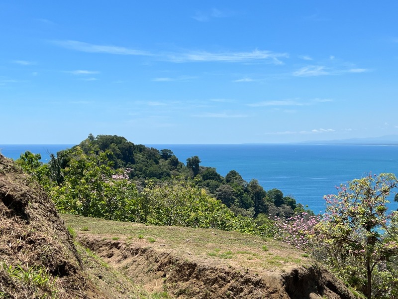 0 bed Land For Sale in Manuel Antonio, Puntarenas - thumb 16