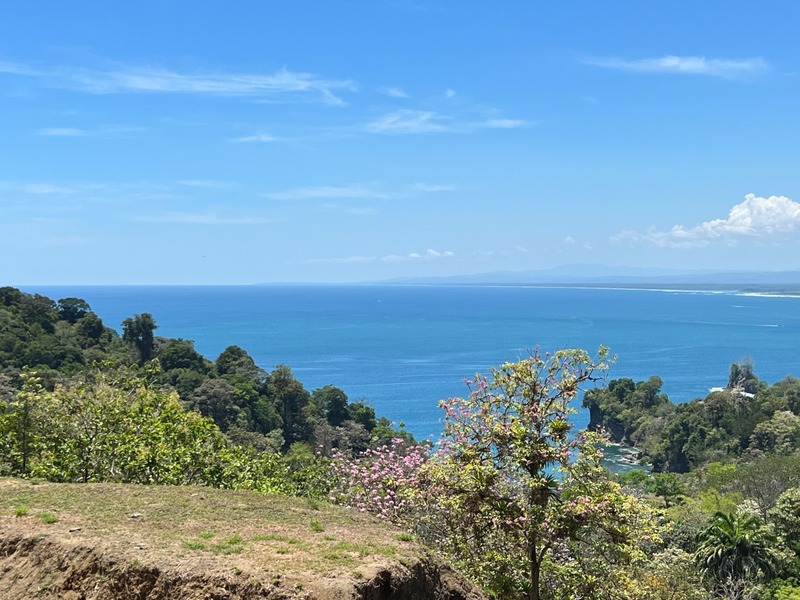 0 bed Land For Sale in Manuel Antonio, Puntarenas - thumb 8