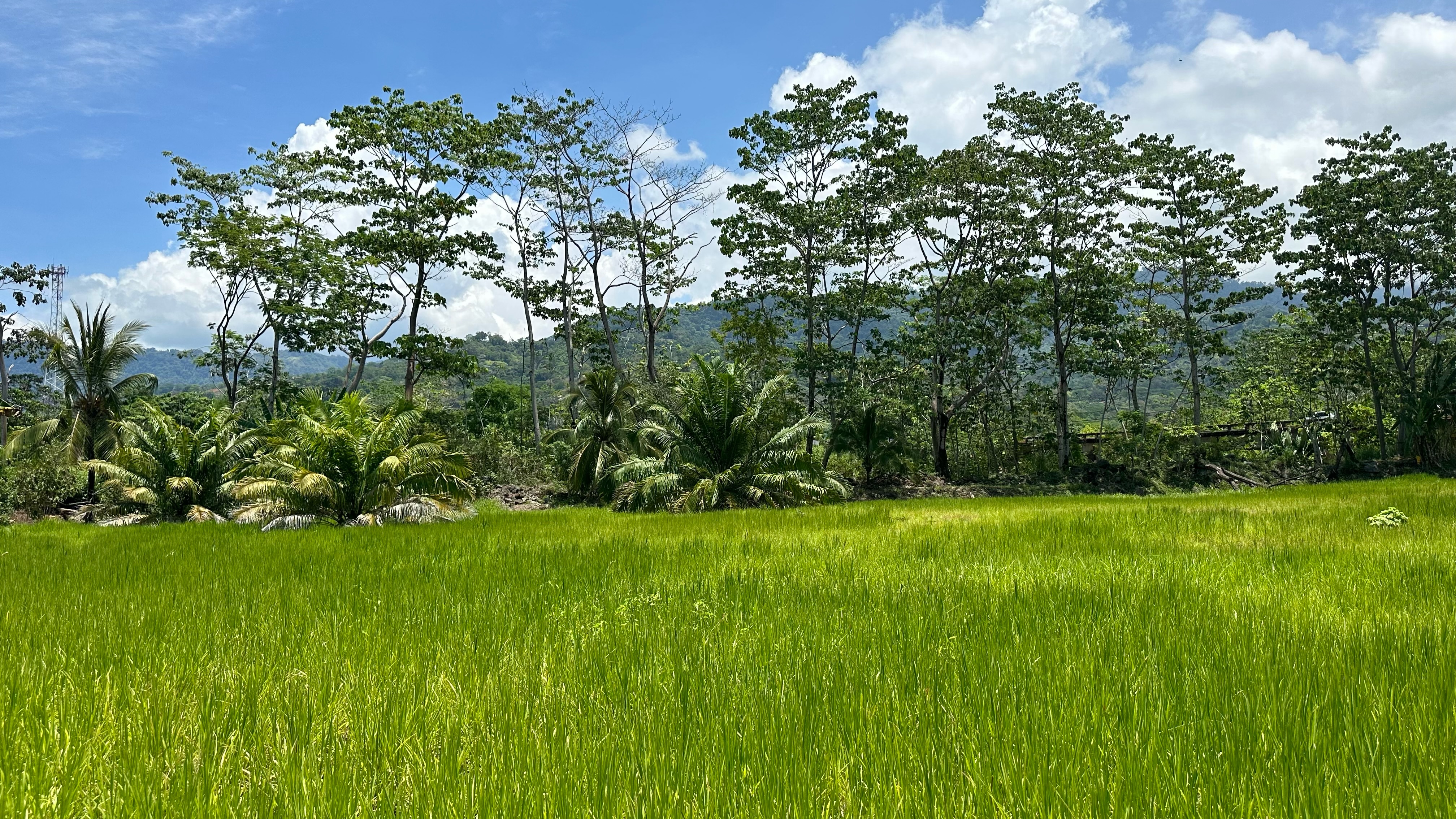 0 bed Land For Sale in Uvita, Puntarenas - thumb 1