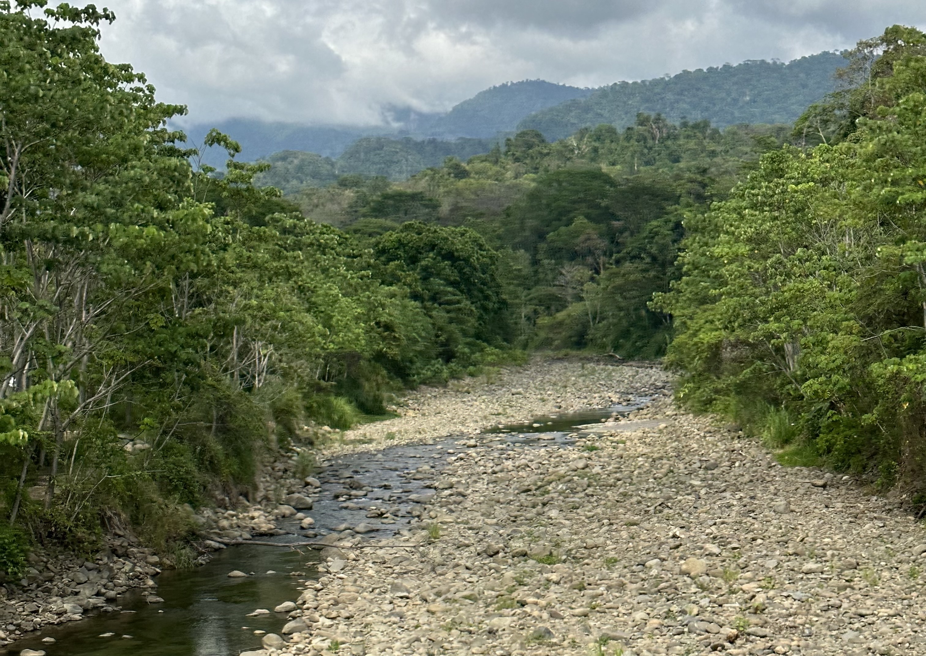 0 bed Land For Sale in Uvita, Puntarenas - thumb 5