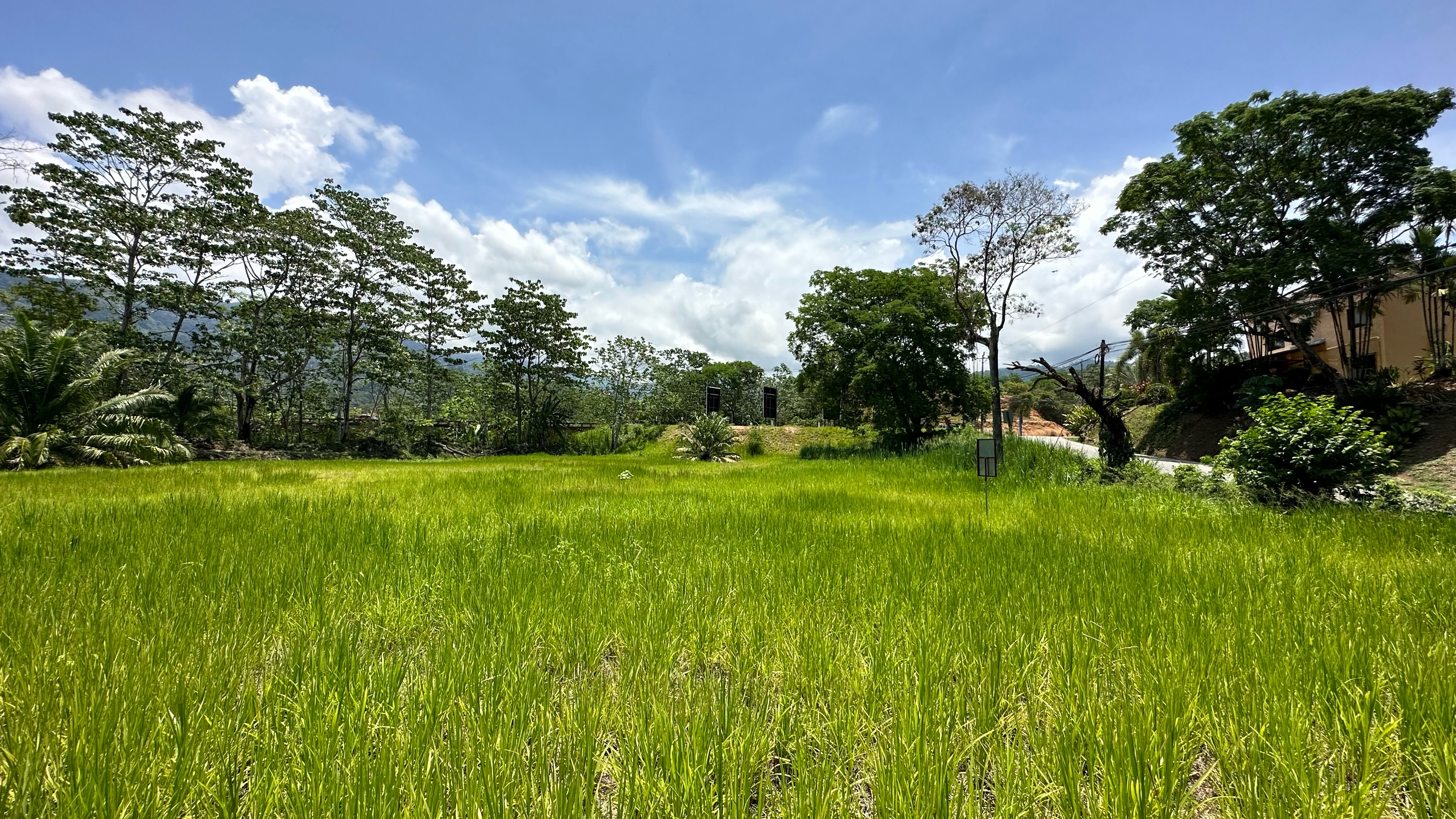0 bed Land For Sale in Uvita, Puntarenas - thumb 3