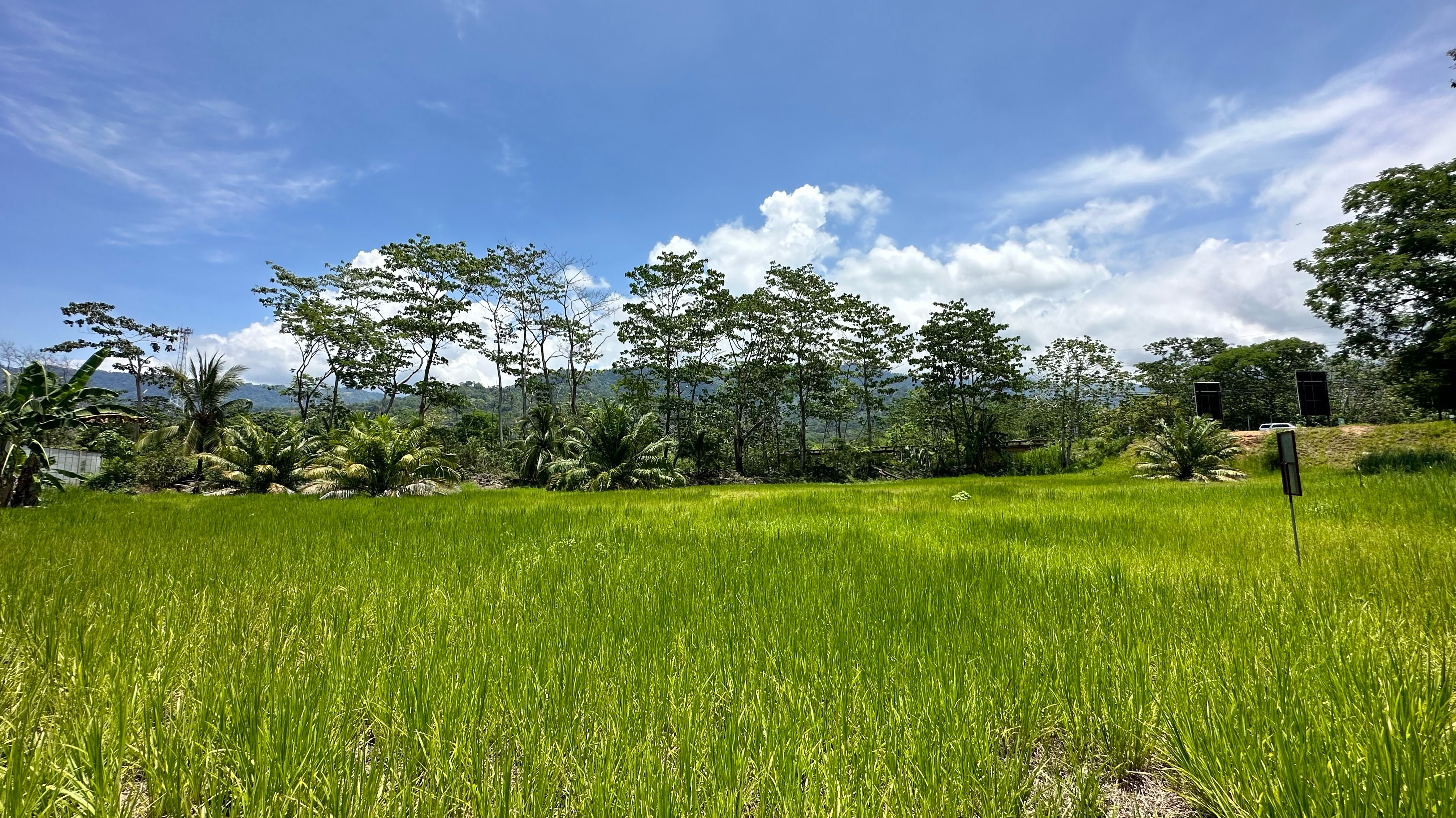 0 bed Land For Sale in Uvita, Puntarenas - thumb 2