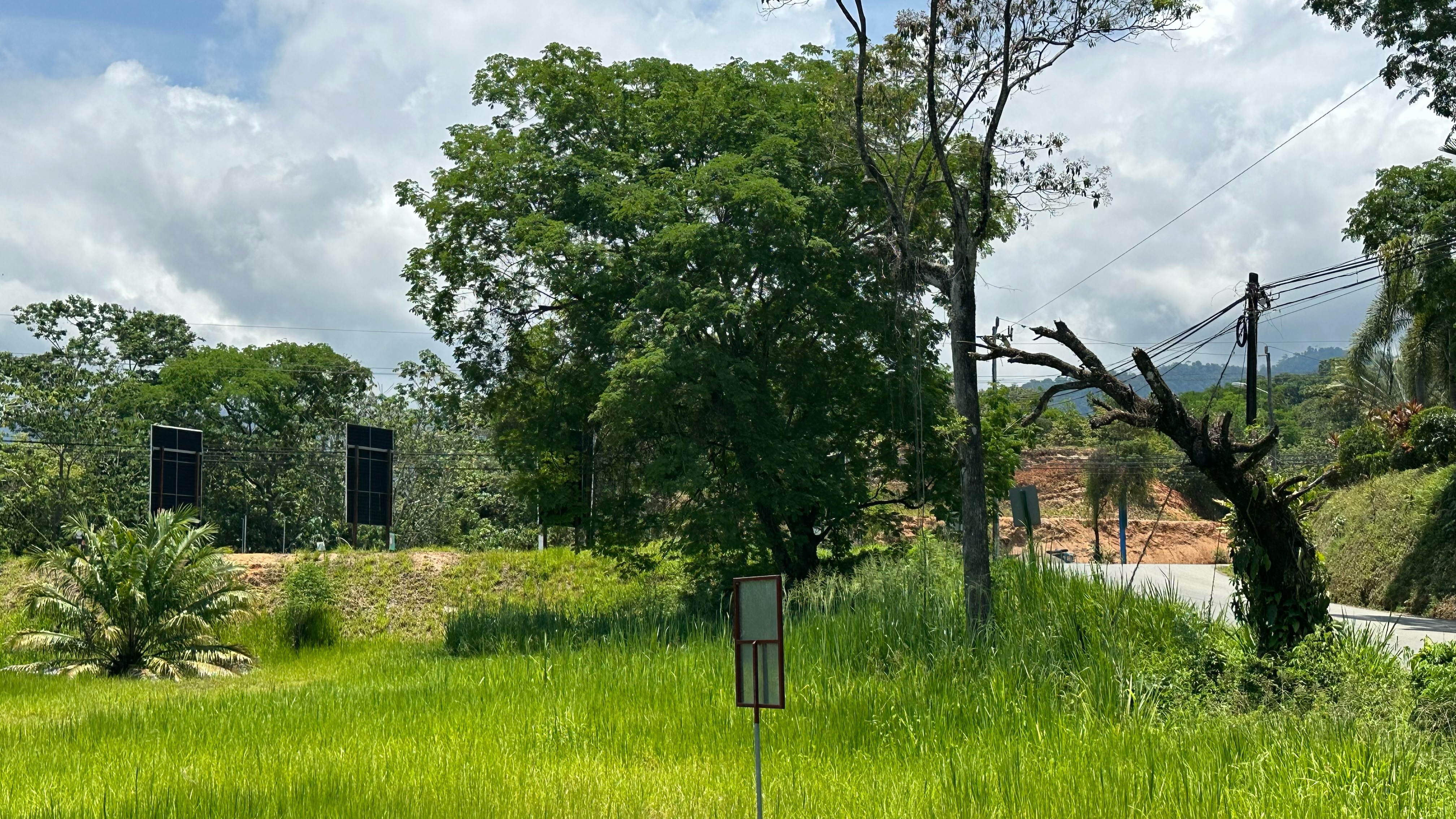 0 bed Land For Sale in Uvita, Puntarenas - thumb 4