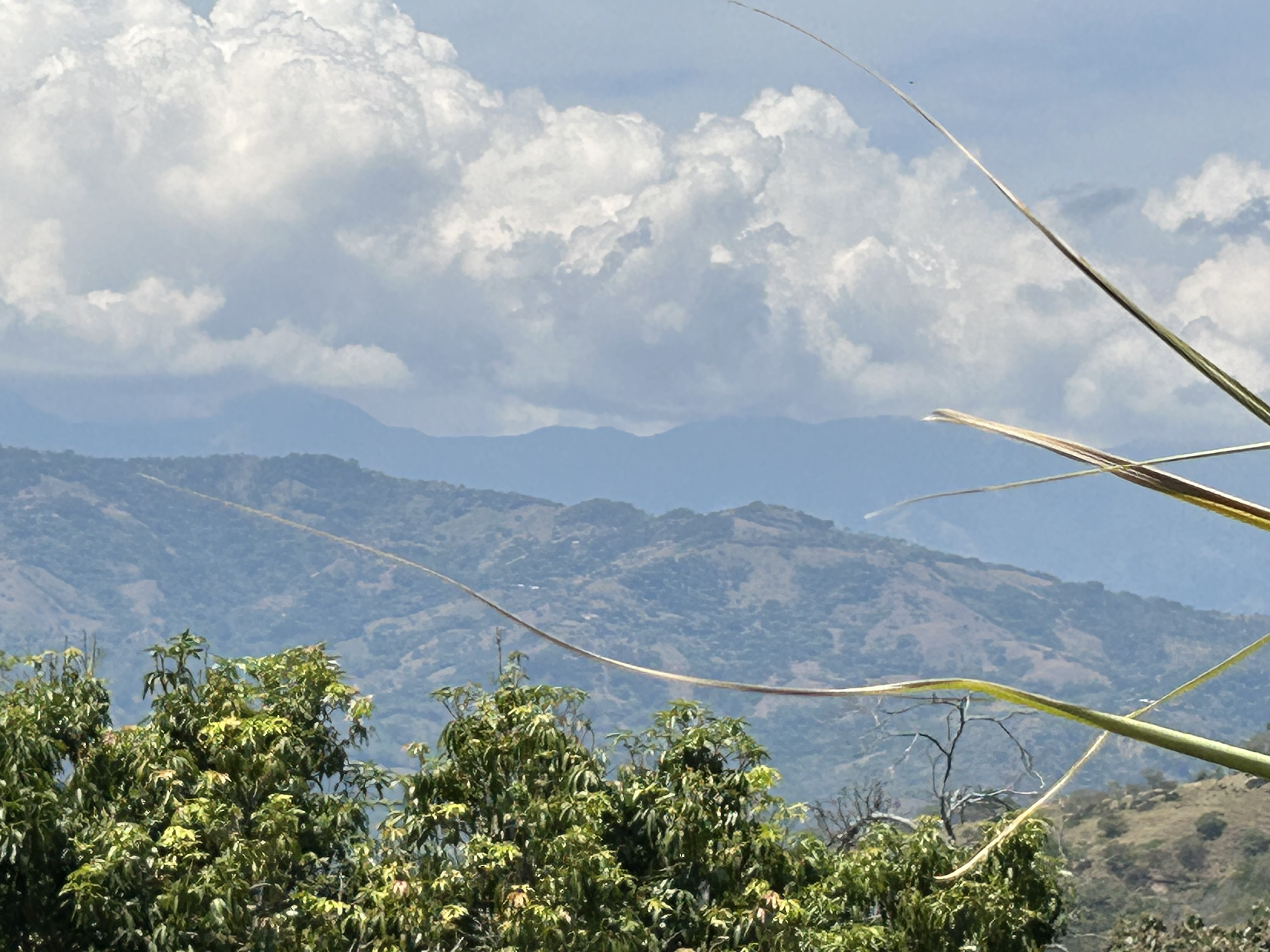 0 bed Land For Sale in Atenas, Alajuela - thumb 7