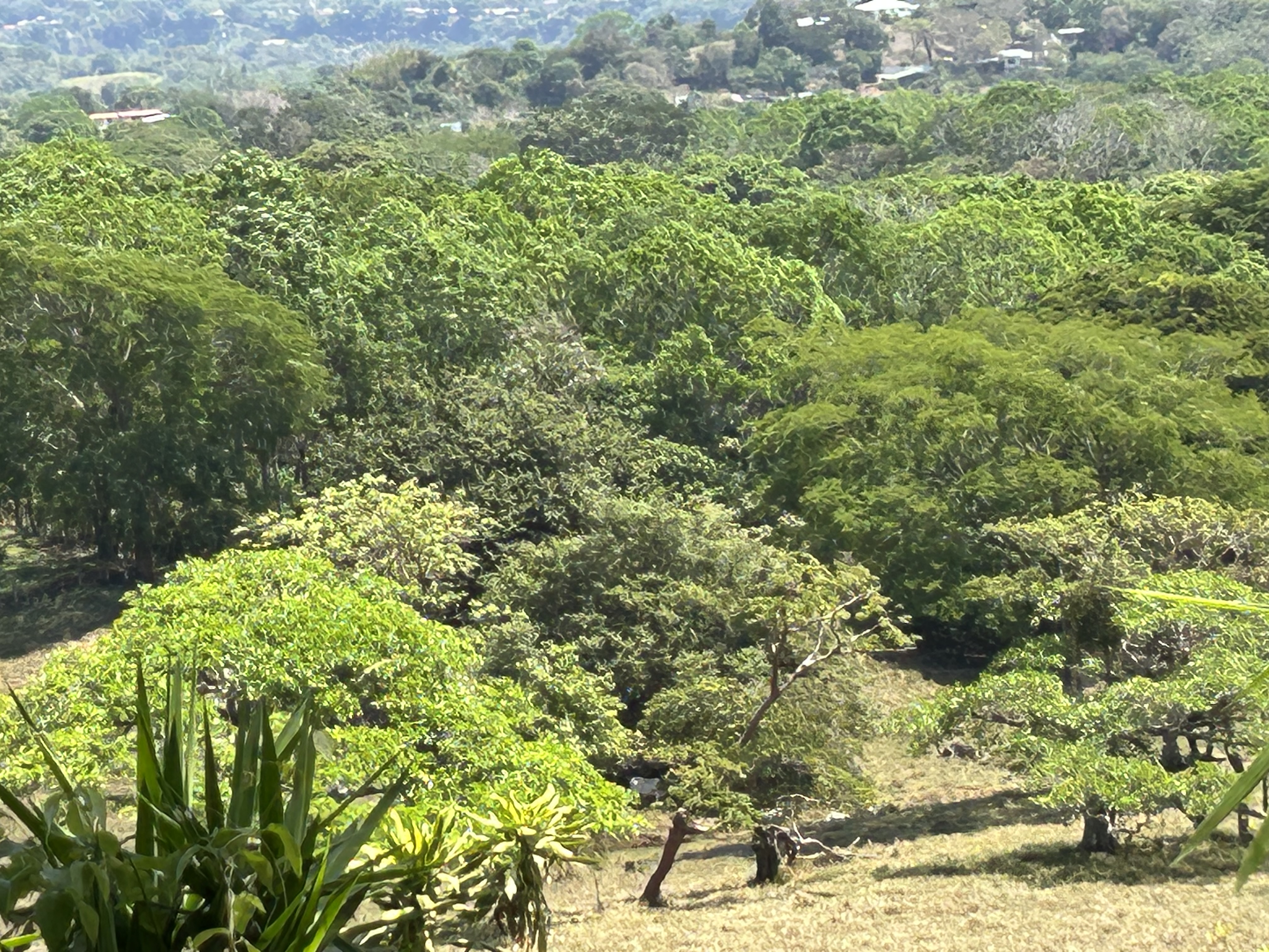 0 bed Land For Sale in Atenas, Alajuela - thumb 5