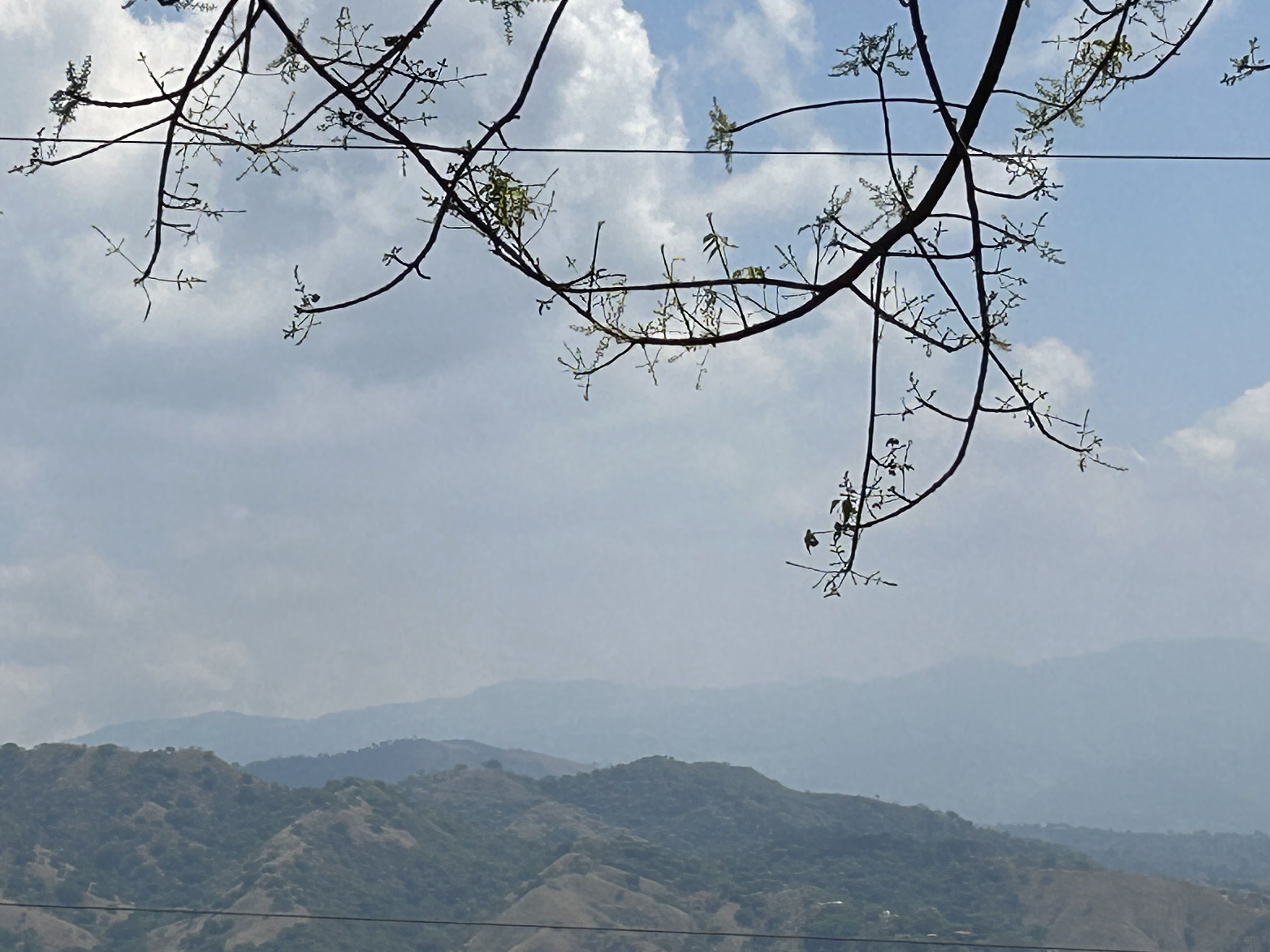 0 bed Land For Sale in Atenas, Alajuela - thumb 4