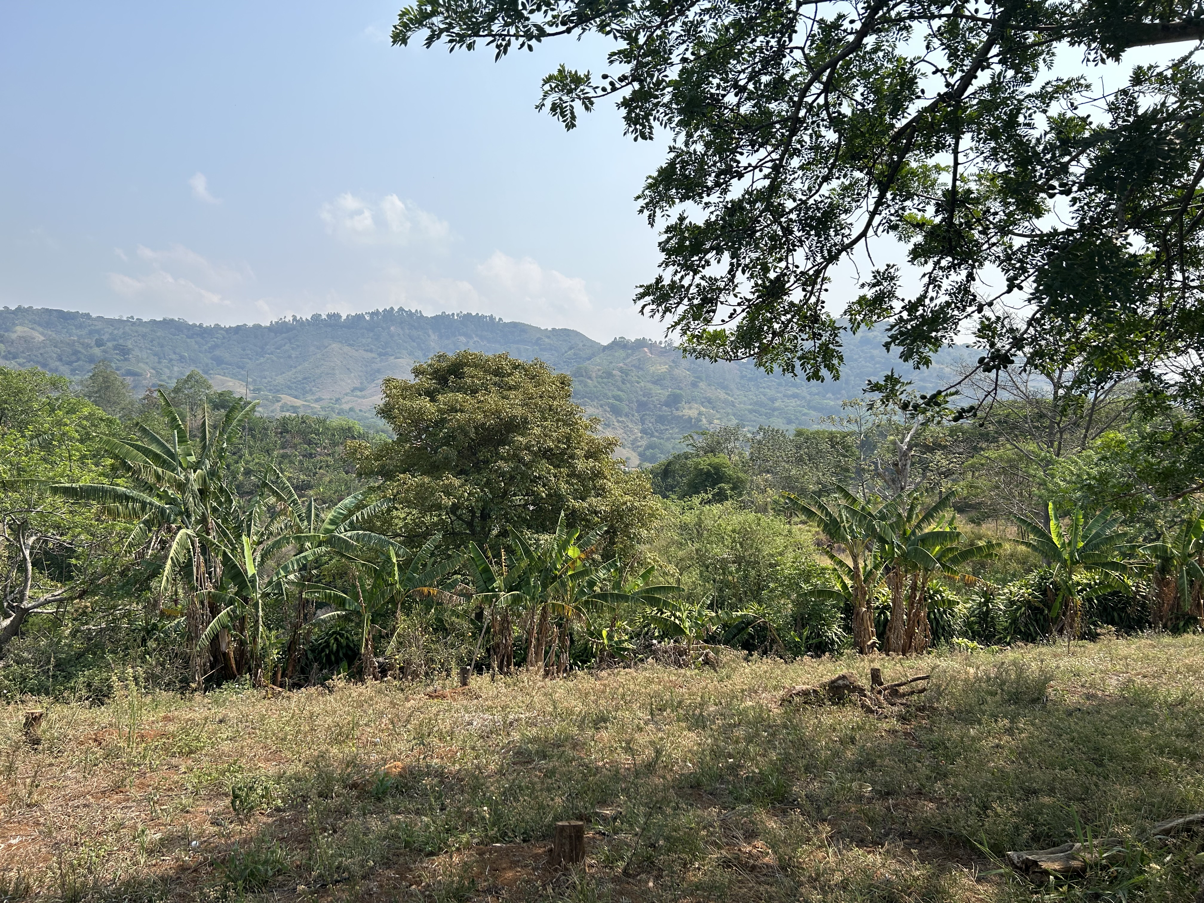0 bed Land For Sale in Atenas, Alajuela - thumb 6