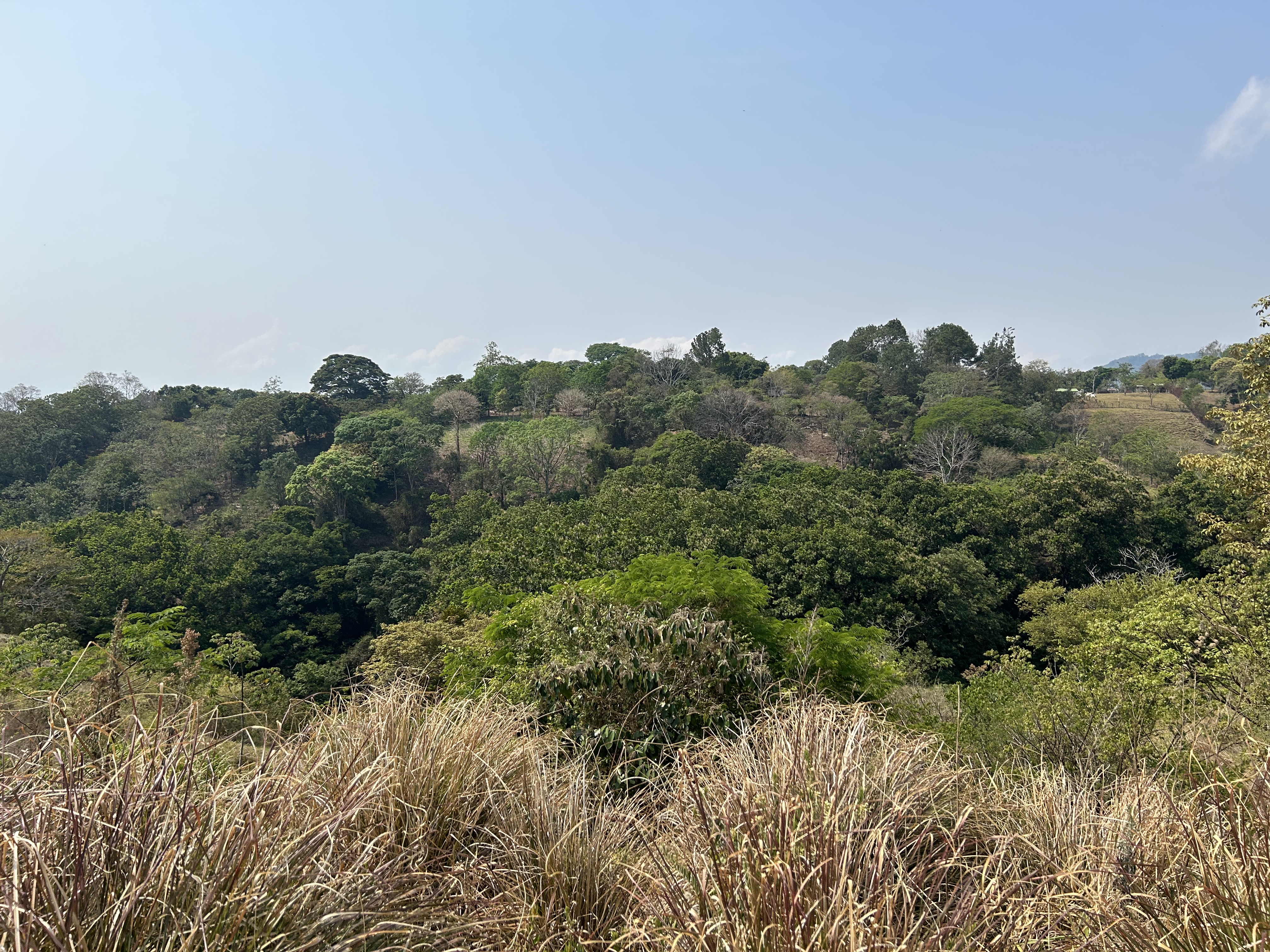 0 bed Land For Sale in Alajuela, Alajuela - thumb 2