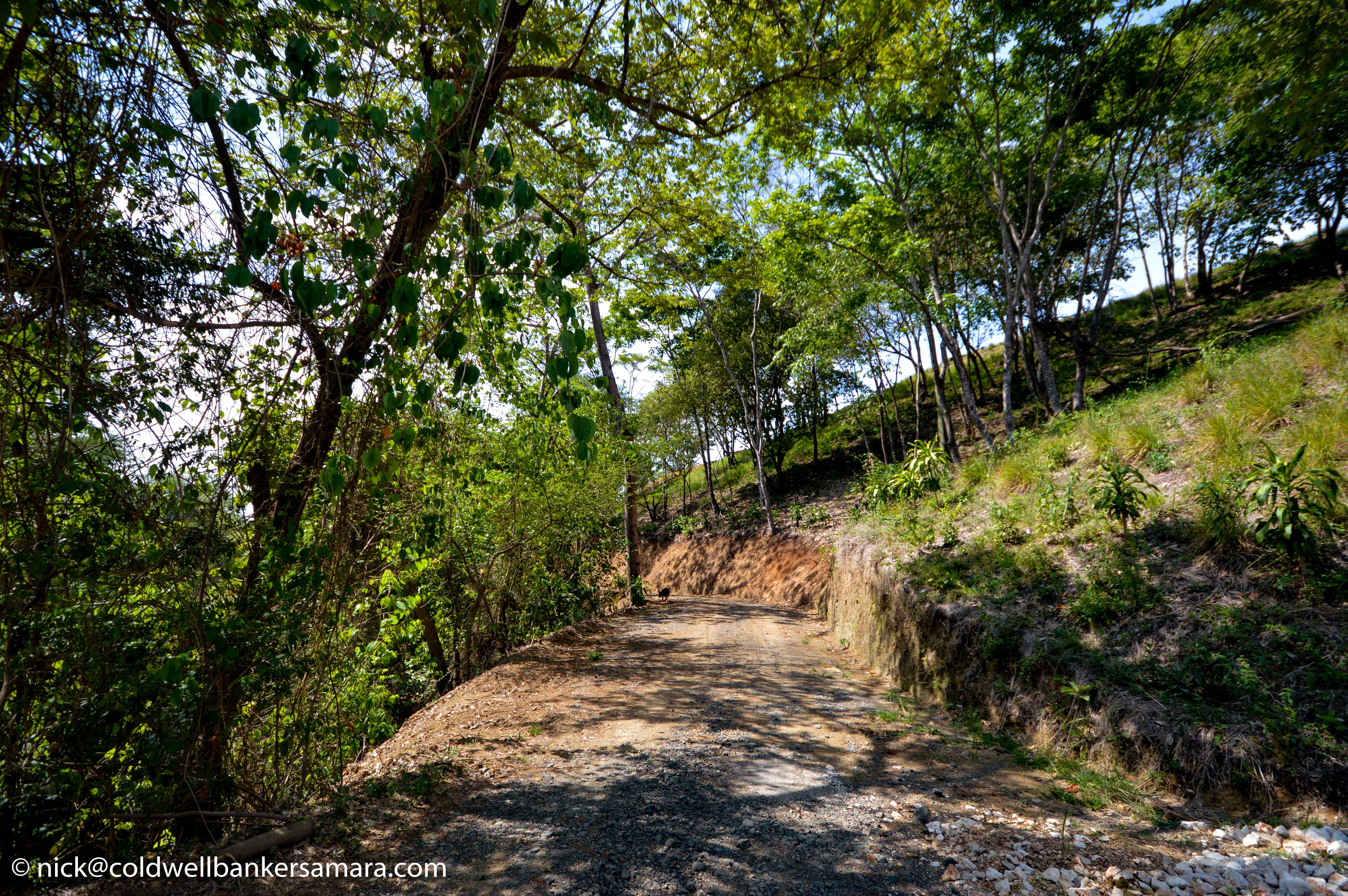 0 bed Land For Sale in Playa Carrillo, Guanacaste - thumb 4