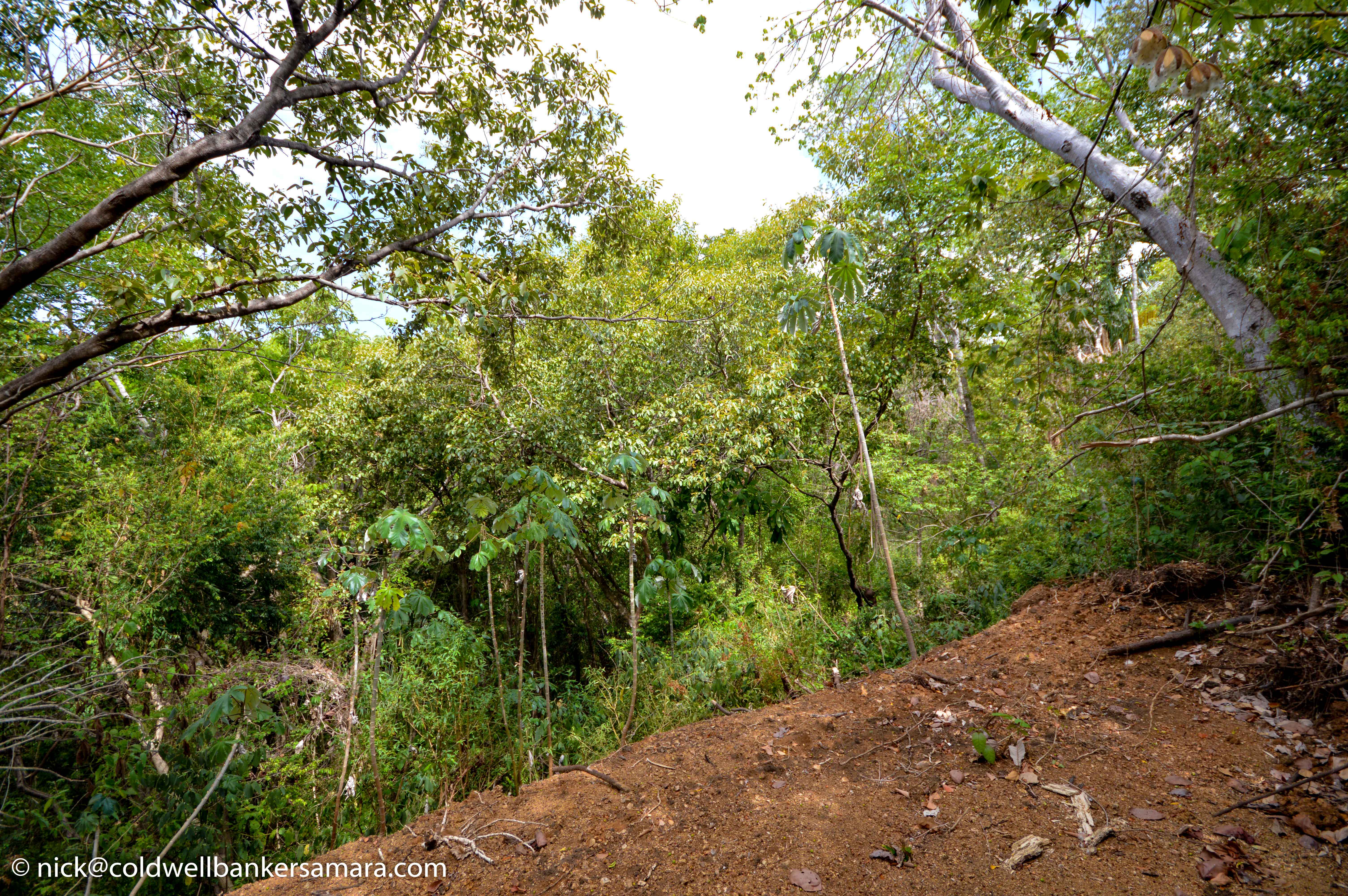 0 bed Land For Sale in Playa Carrillo, Guanacaste - thumb 3