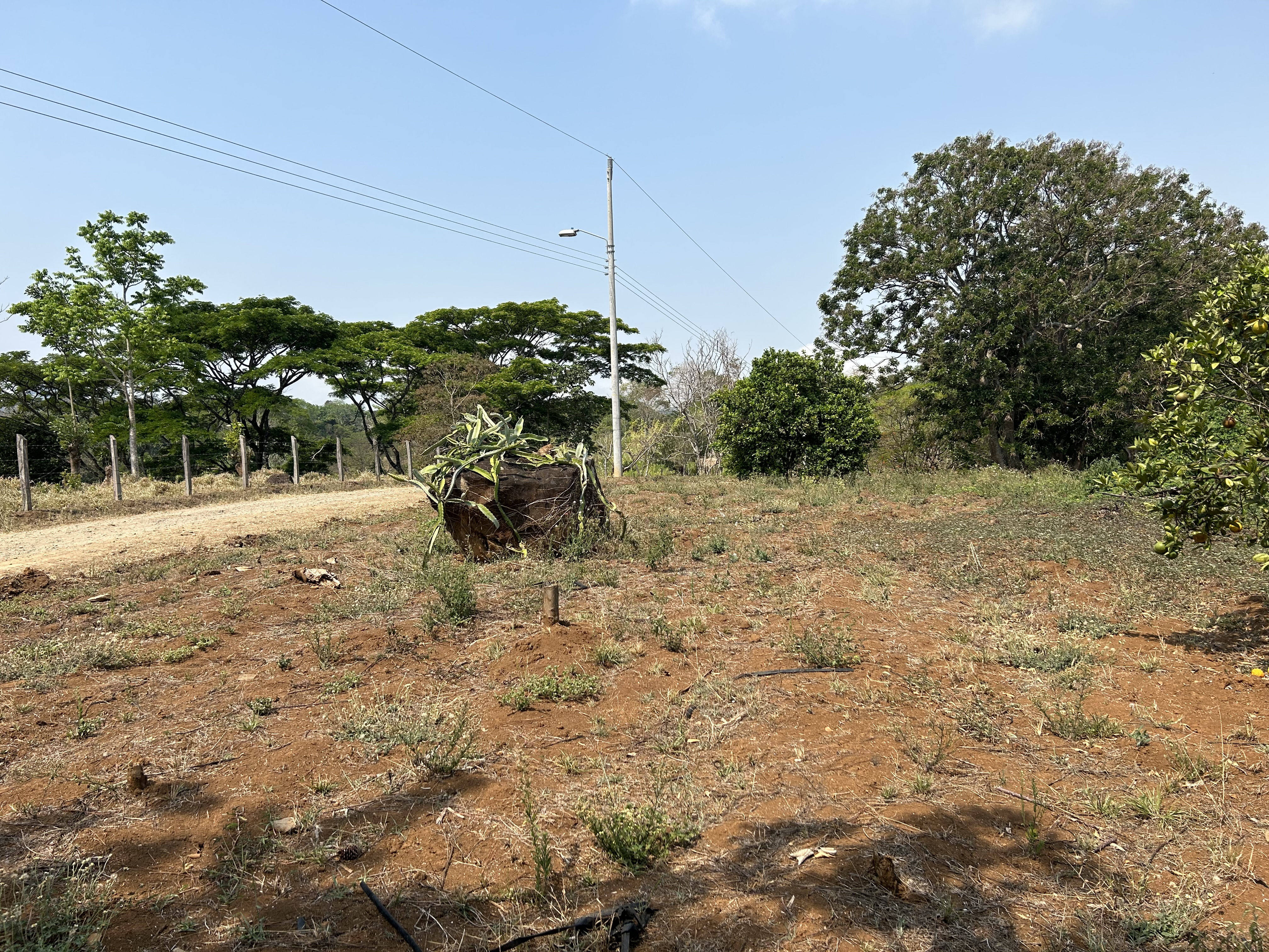 0 bed Land For Sale in Atenas, Alajuela - thumb 4