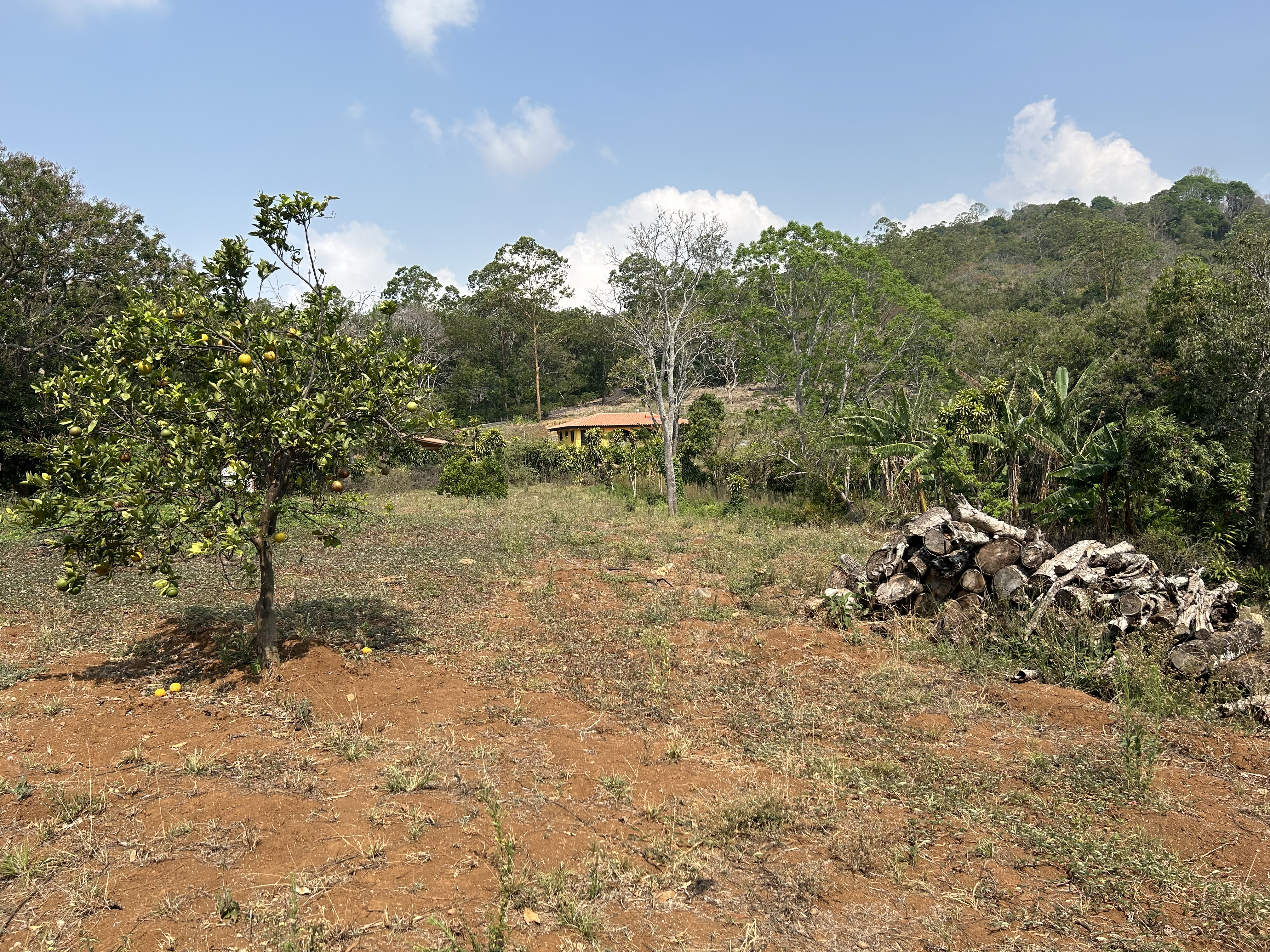 0 bed Land For Sale in Atenas, Alajuela - thumb 3