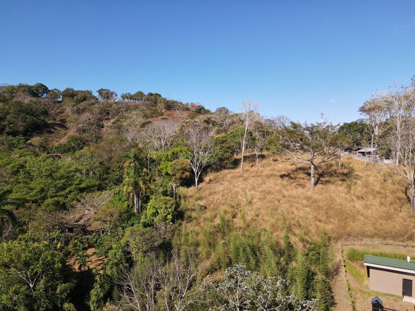 3 bed Single Family Homes For Sale in Naranjo, Alajuela - thumb 25