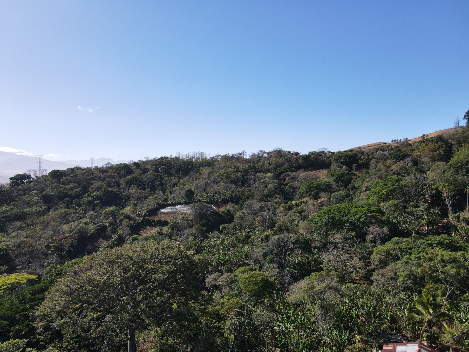 3 bed Single Family Homes For Sale in Naranjo, Alajuela - thumb 22