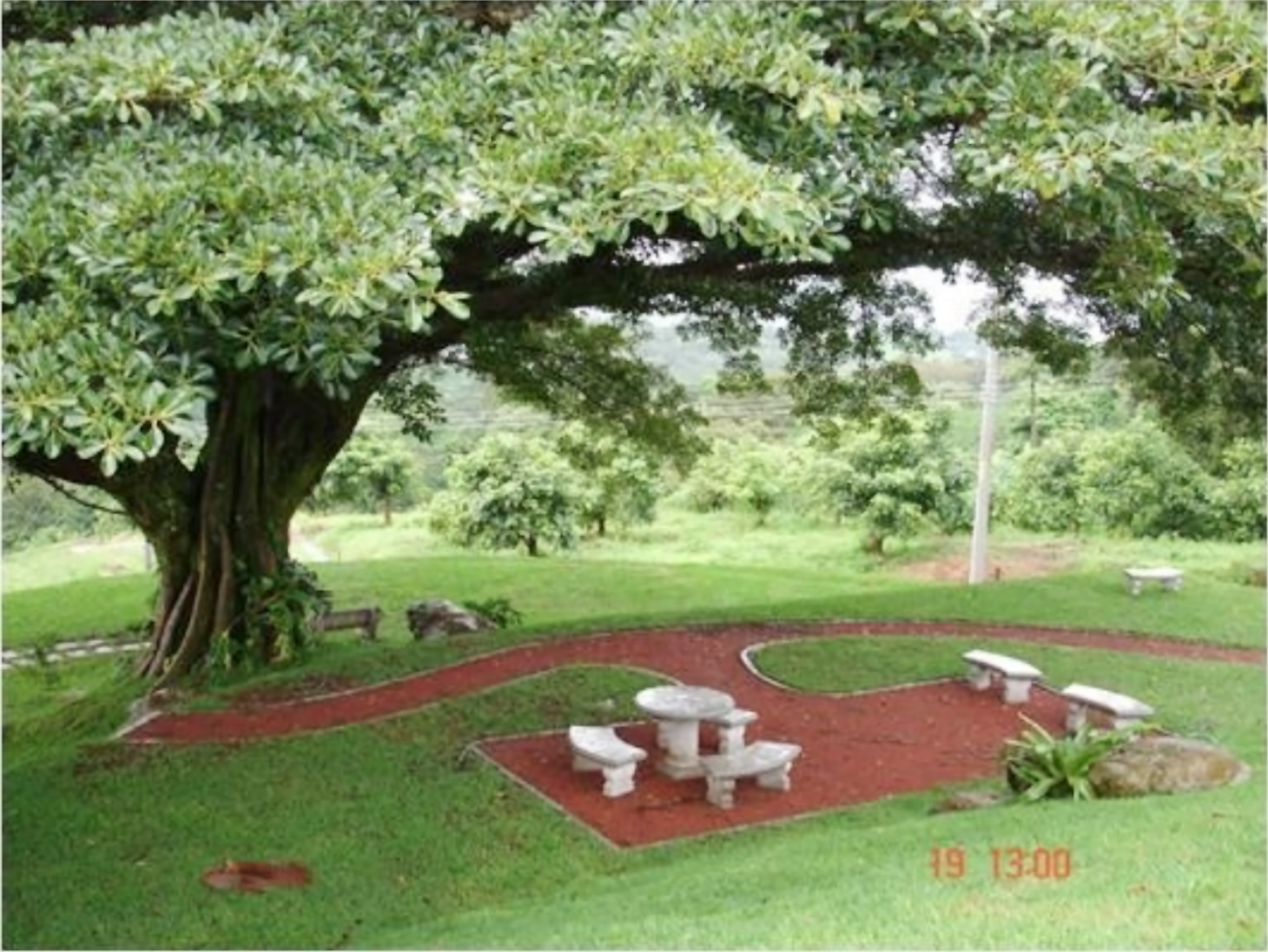 0 bed Land For Sale in Grecia, Alajuela - thumb 10