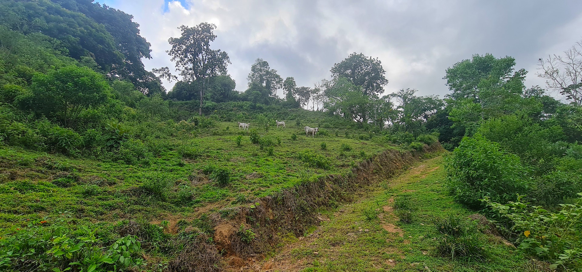 0 bed Land For Sale in Dominical, Puntarenas - thumb 9