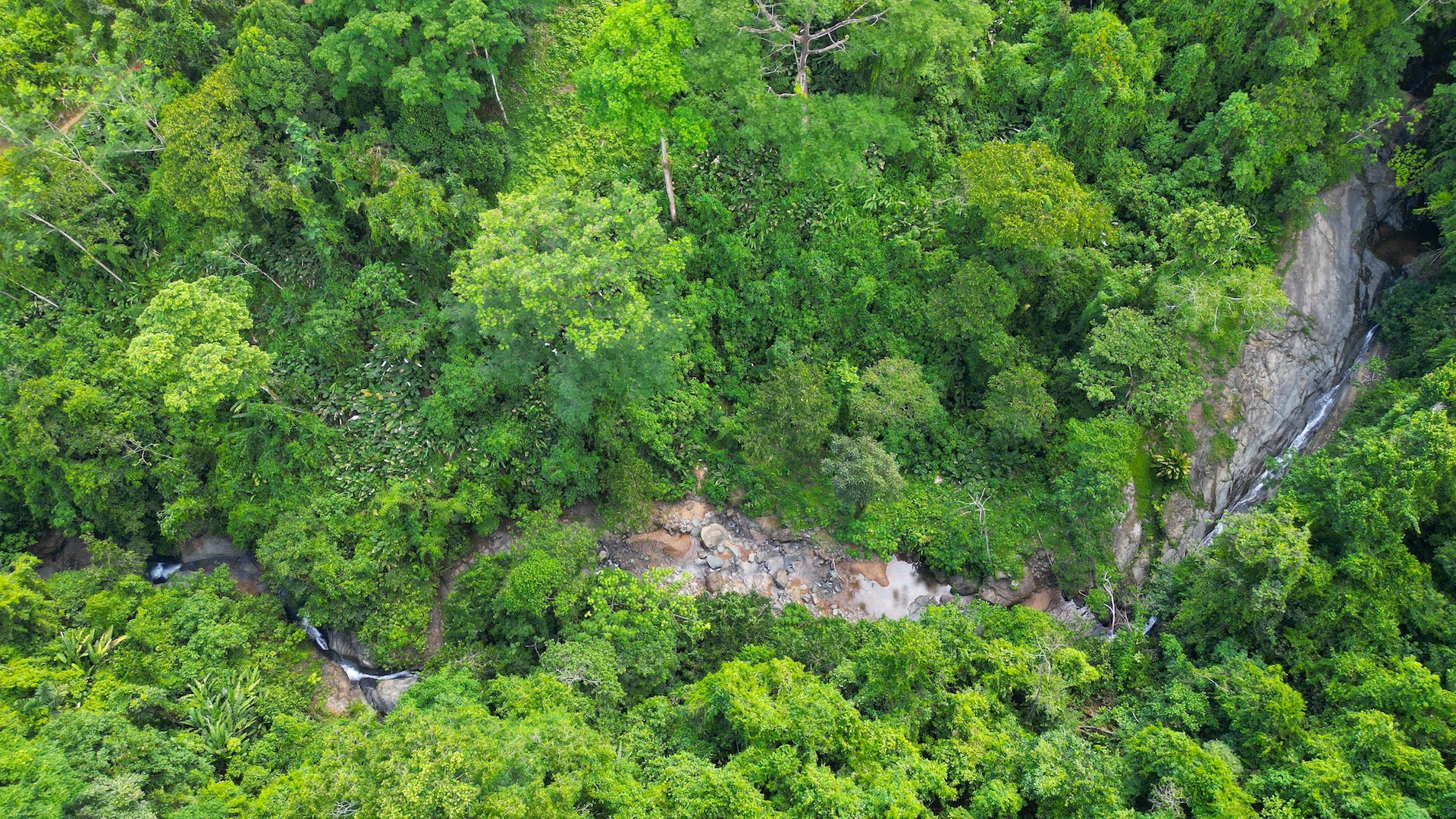 0 bed Land For Sale in Dominical, Puntarenas - thumb 15