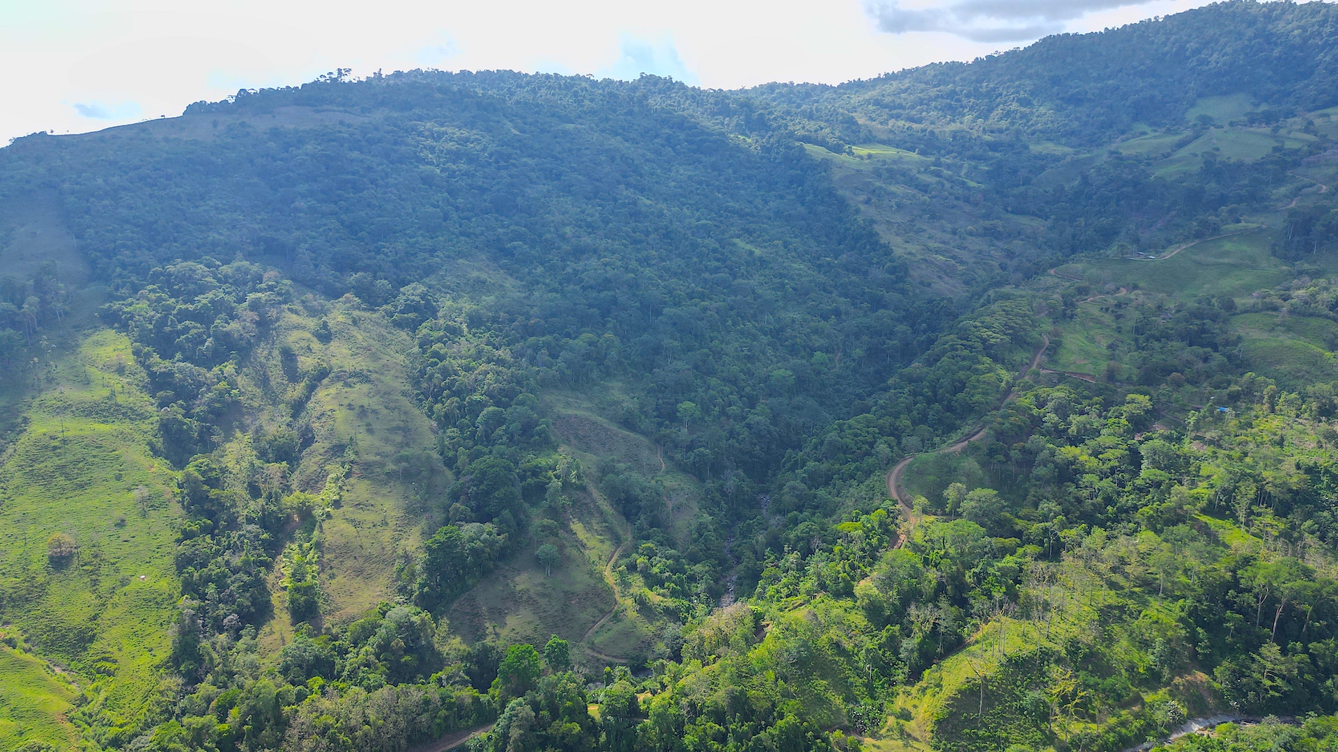 0 bed Land For Sale in Dominical, Puntarenas - thumb 10