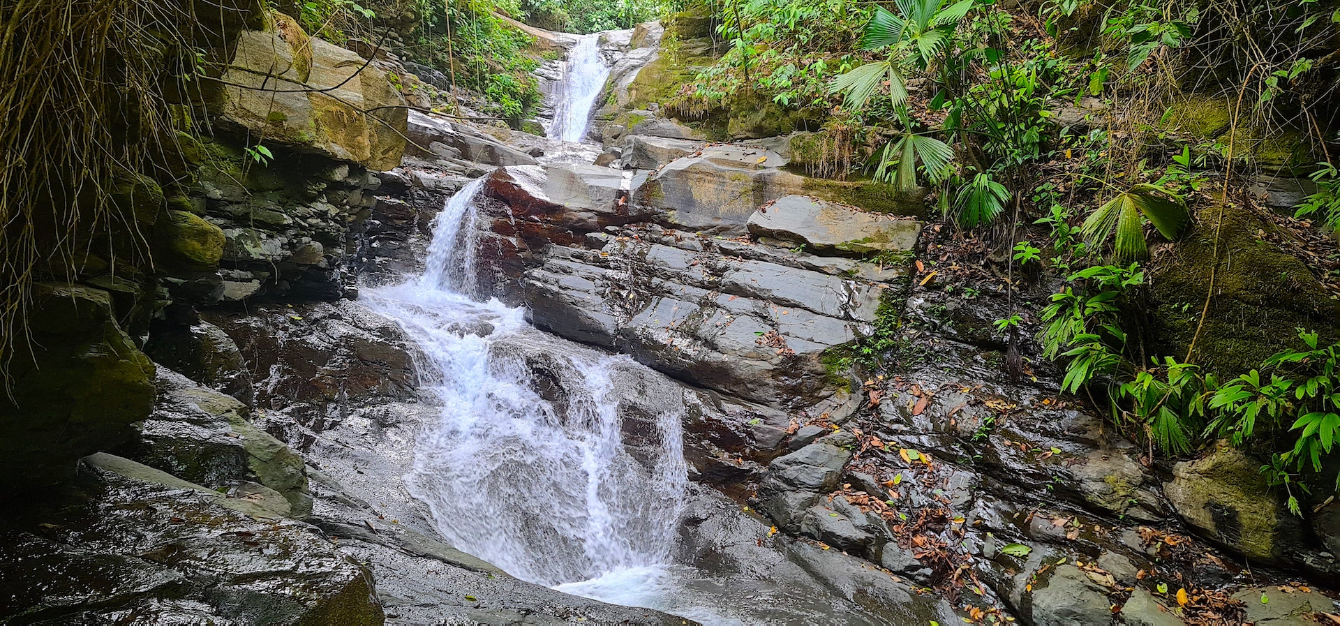 0 bed Land For Sale in Dominical, Puntarenas - thumb 7