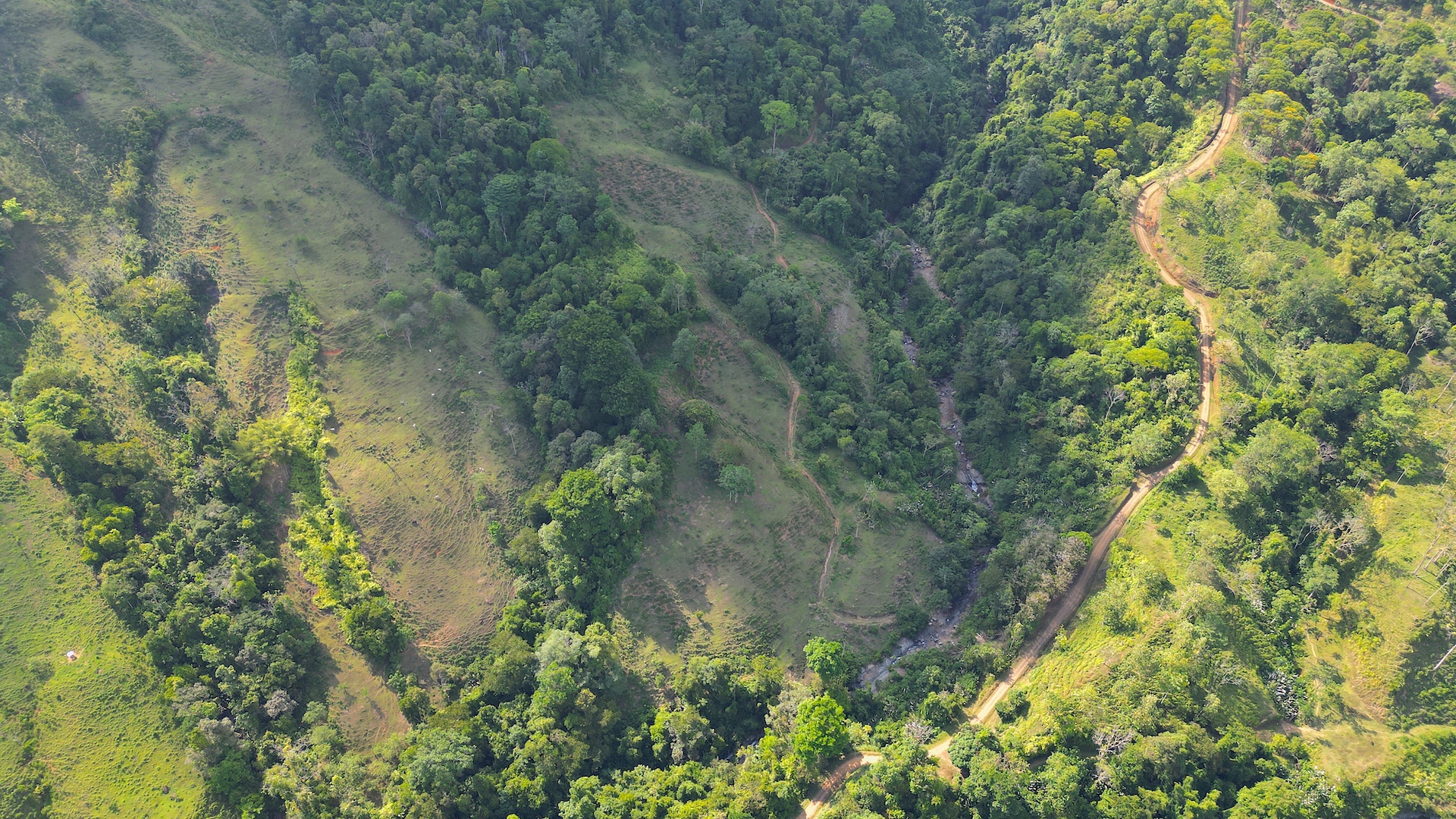 0 bed Land For Sale in Dominical, Puntarenas - thumb 12