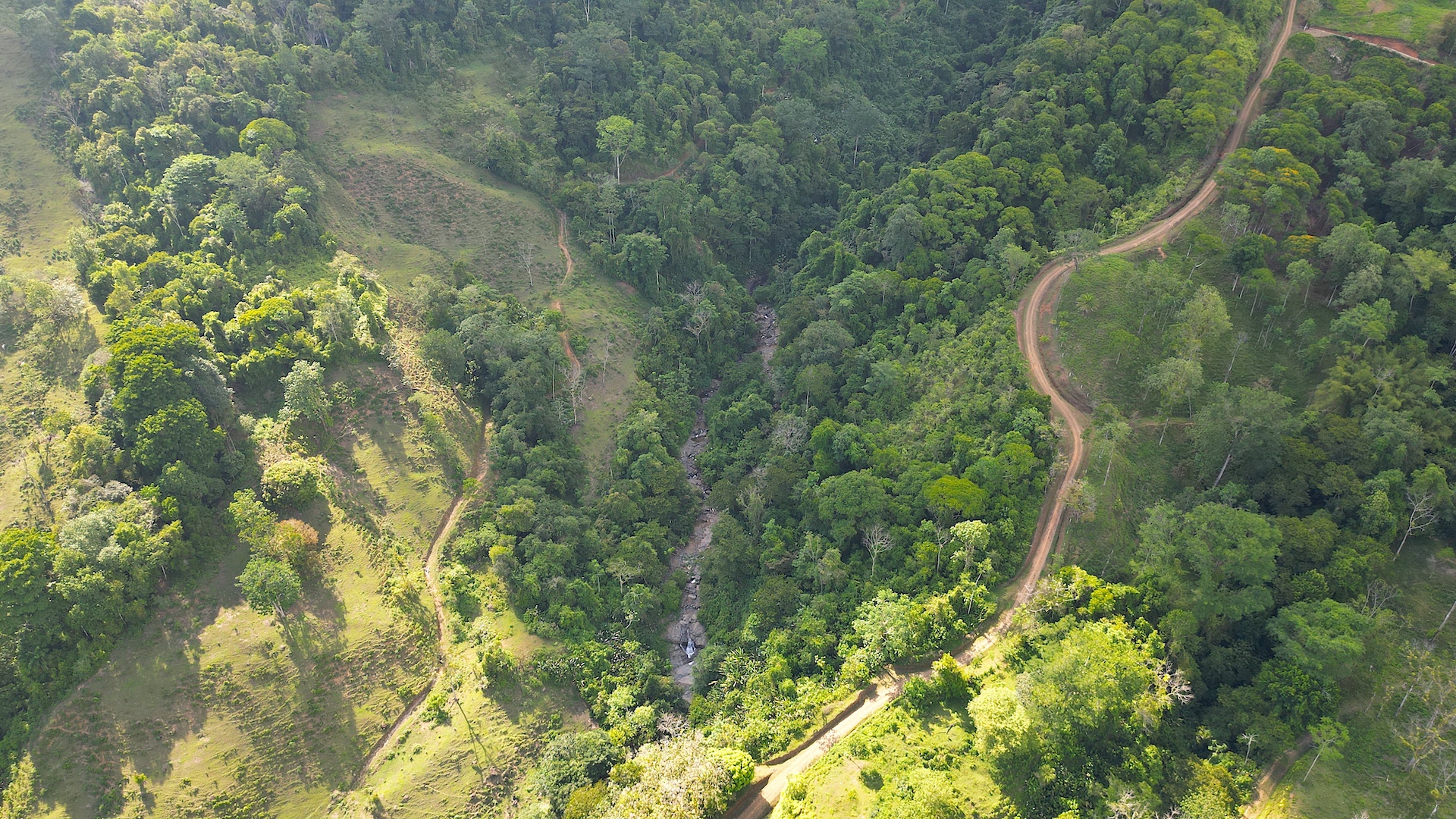 0 bed Land For Sale in Dominical, Puntarenas - thumb 4