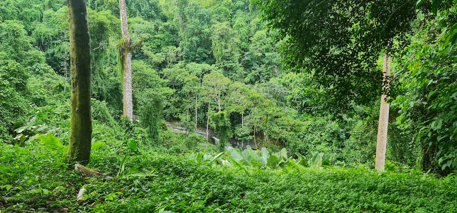 0 bed Land For Sale in Dominical, Puntarenas - thumb 16