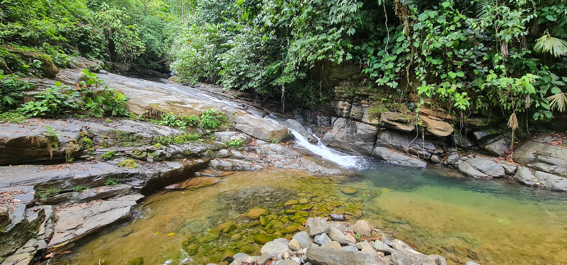 0 bed Land For Sale in Dominical, Puntarenas - thumb 6