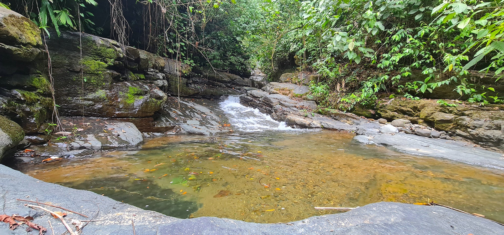 0 bed Land For Sale in Dominical, Puntarenas - thumb 14