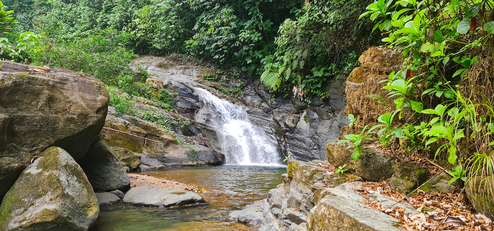 0 bed Land For Sale in Dominical, Puntarenas - thumb 13