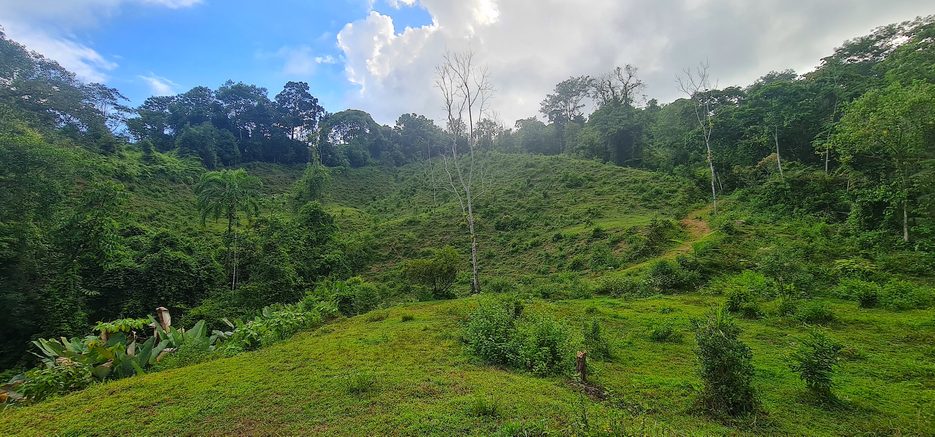 0 bed Land For Sale in Dominical, Puntarenas - thumb 11