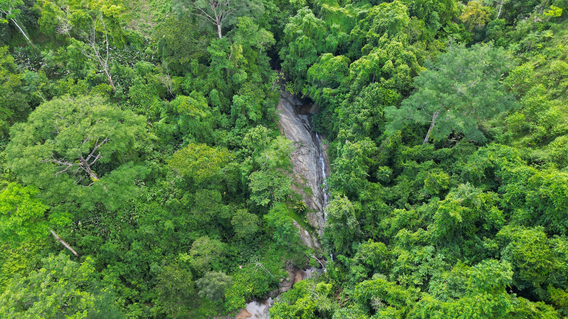 0 bed Land For Sale in Dominical, Puntarenas - thumb 1