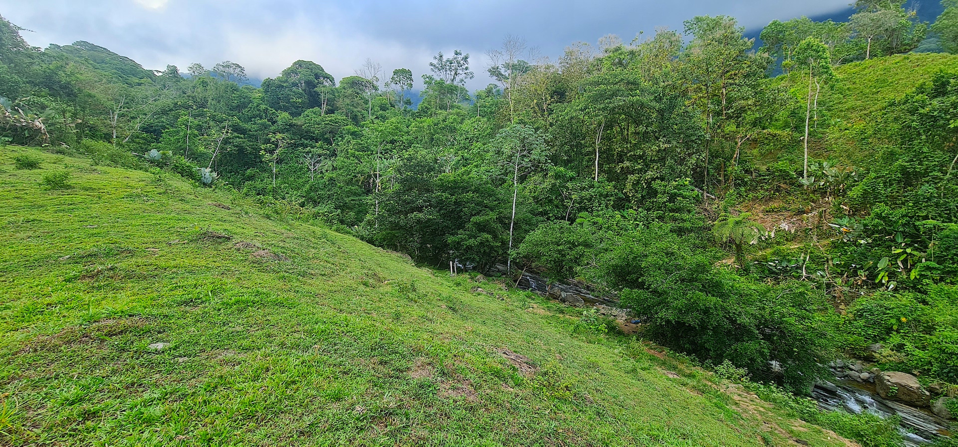 0 bed Land For Sale in Dominical, Puntarenas - thumb 17