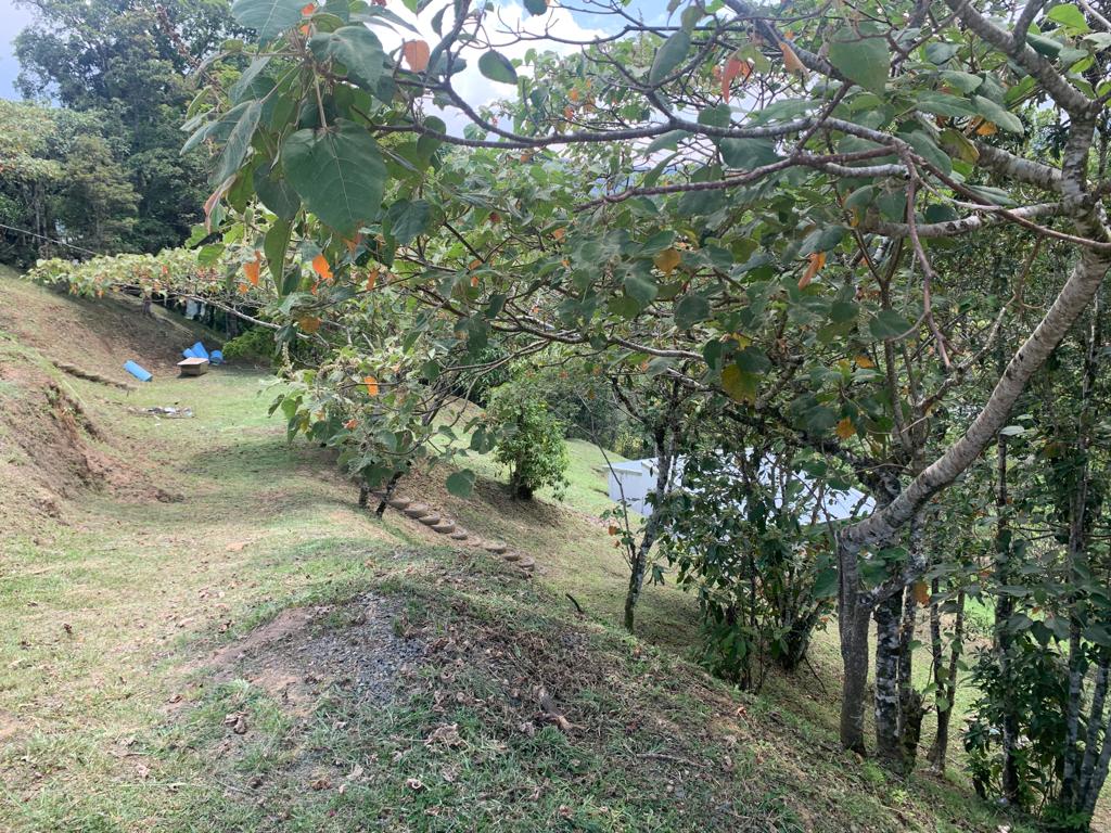 3 bed Single Family Homes For Sale in El Tejar, Cartago - thumb 7