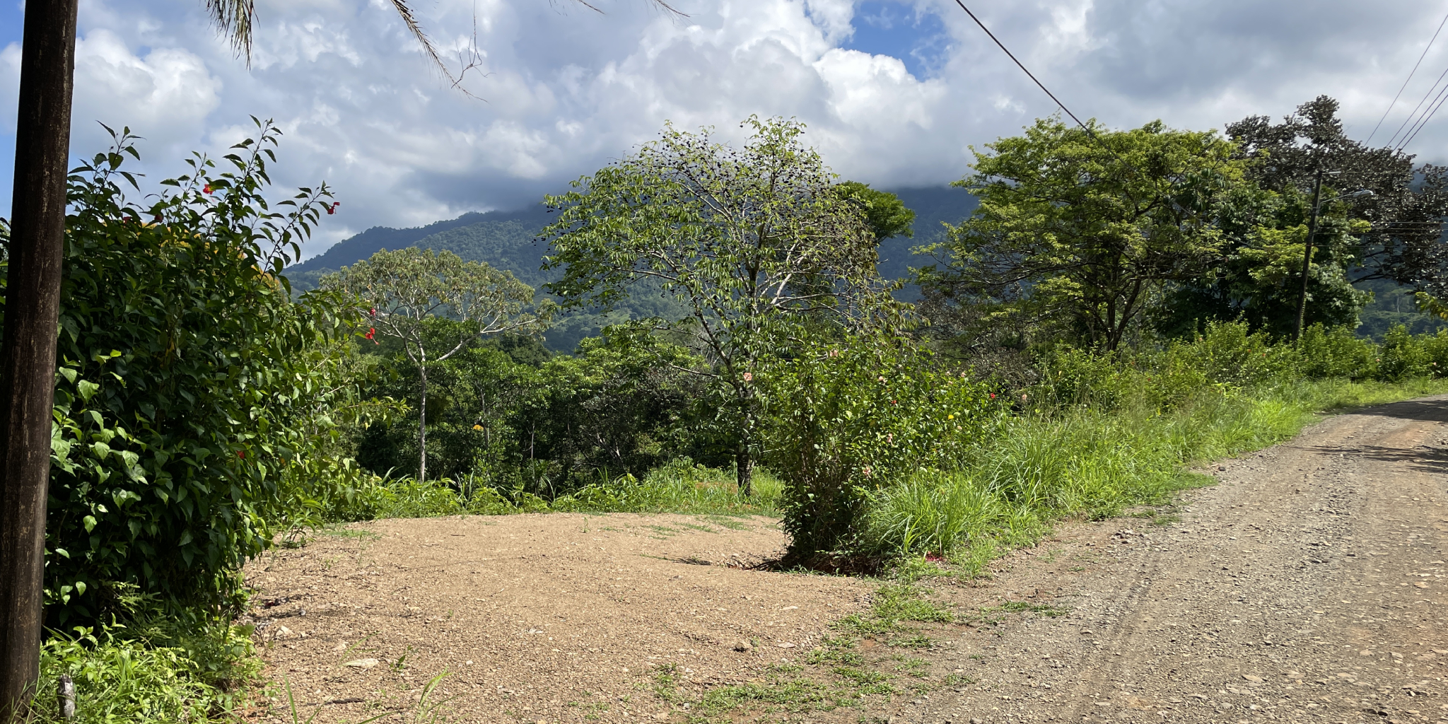 0 bed Land For Sale in Ojochal, Puntarenas - thumb 2
