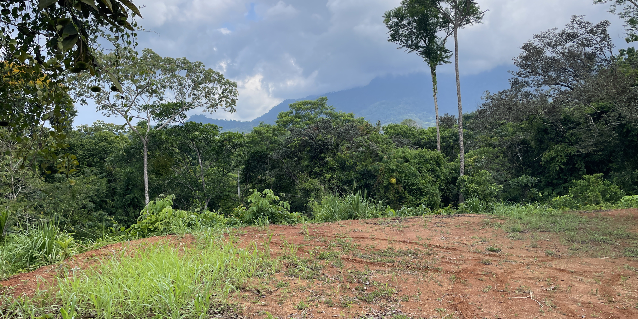 0 bed Land For Sale in Ojochal, Puntarenas - thumb 8