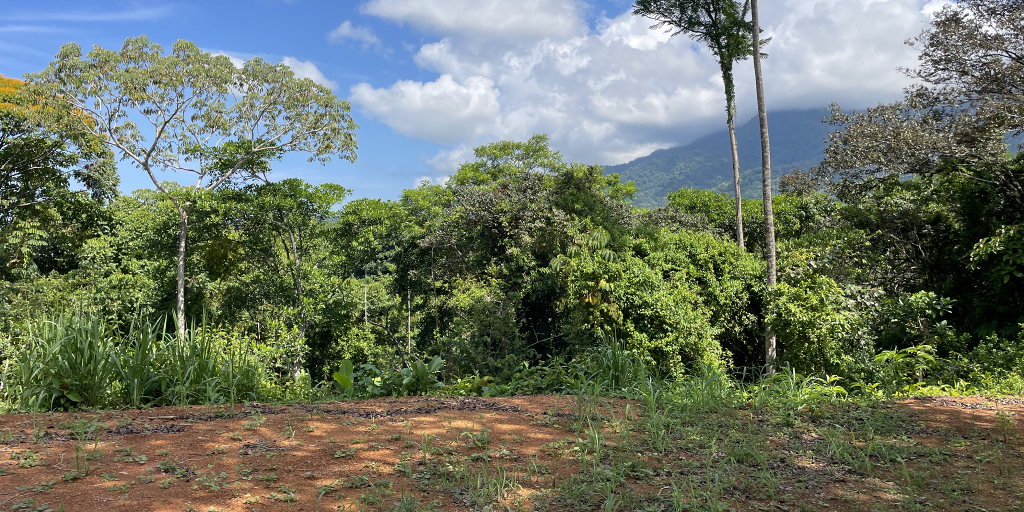 0 bed Land For Sale in Ojochal, Puntarenas - thumb 6