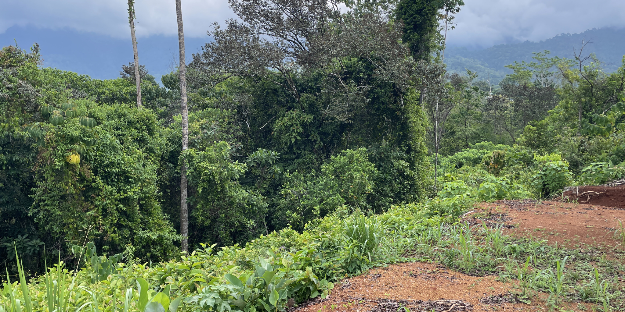 0 bed Land For Sale in Ojochal, Puntarenas - thumb 11