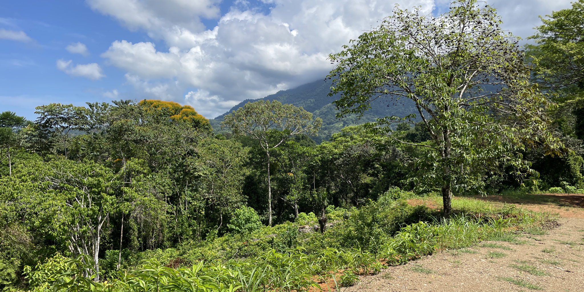 0 bed Land For Sale in Ojochal, Puntarenas - thumb 13